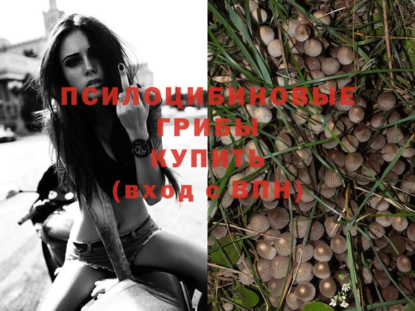МДМА Белокуриха