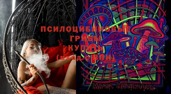 МДМА Белокуриха