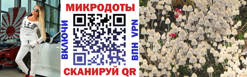 mega сайт  как найти закладки  Полесск  Галлюциногенные грибы GOLDEN TEACHER 